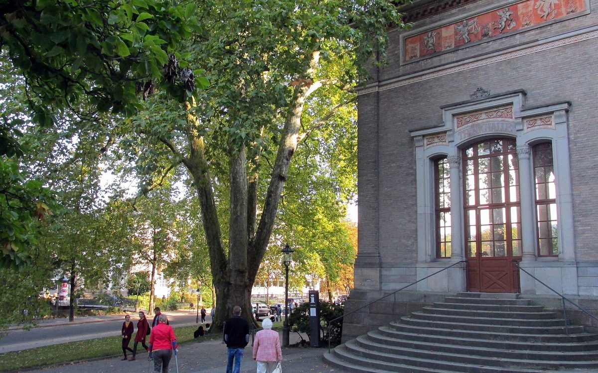 Ecke der Trinkhalle mit Rundbogen-Glastür, Relieffries und Steintreppe, davor eine Platane und Besucher